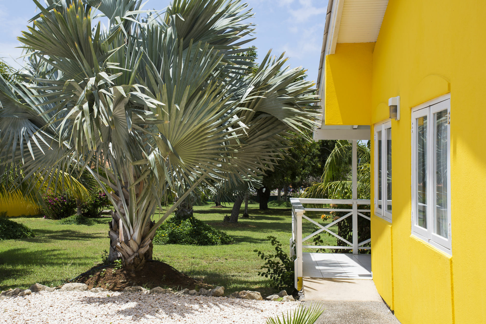Bon Bini Resort Curacao Вилемстад Екстериор снимка